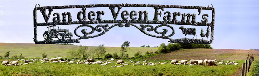 Panaoroma of the Vander Veen Farm