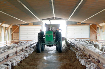 Van der Veen Farm, Grand Valley, On, Canada